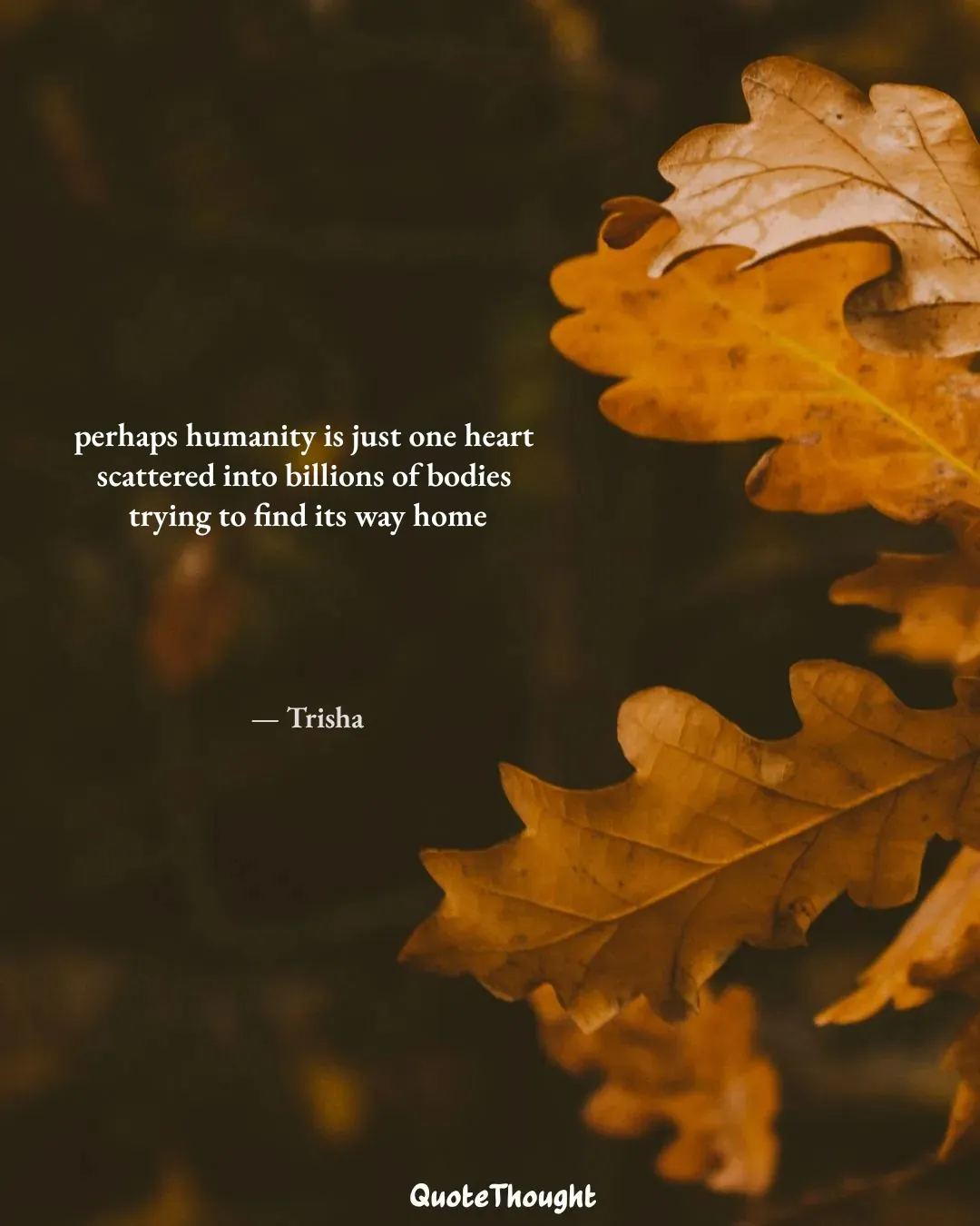 Quote: "perhaps humanity is just one heart 
scattered into billions of bodies 
trying to find its way home" — Trisha