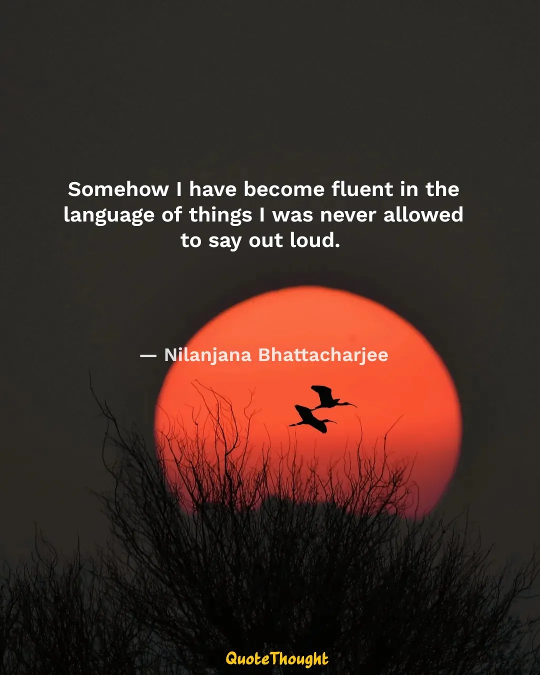 Quote: "Somehow I have become fluent in the language of things I was never allowed to say out loud." — Nilanjana Bhattacharjee