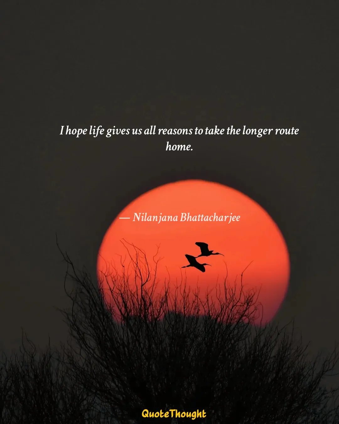Quote: "I hope life gives us all reasons to take the longer route home." — Nilanjana Bhattacharjee