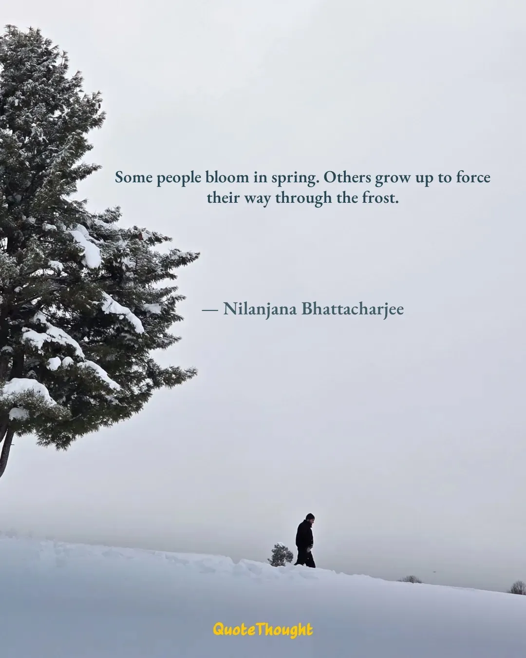 Quote: "Some people bloom in spring. Others grow up to force their way through the frost." — Nilanjana Bhattacharjee