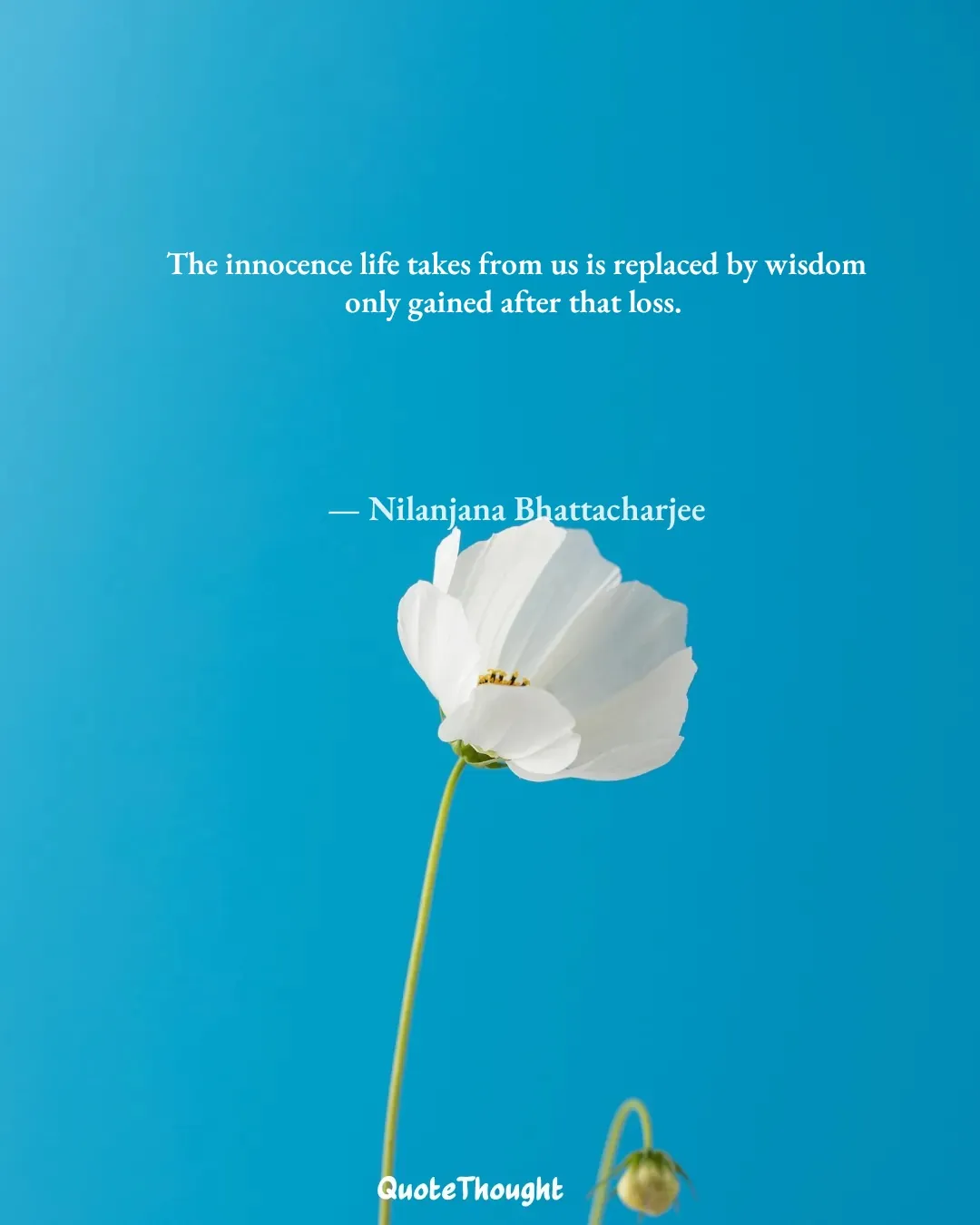 Quote: "The innocence life takes from us is replaced by wisdom only gained after that loss." — Nilanjana Bhattacharjee
