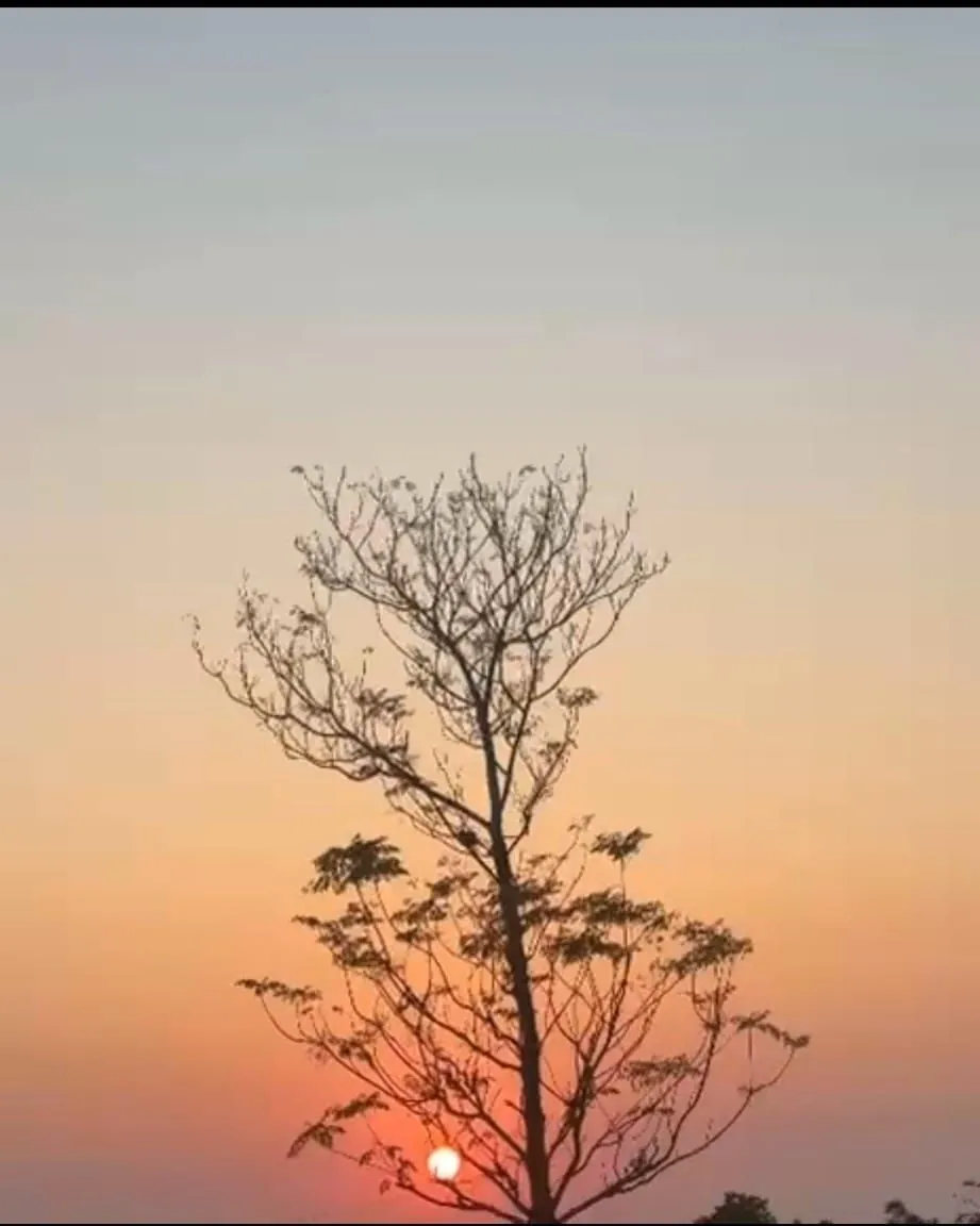 Cover image for "A Hope?"