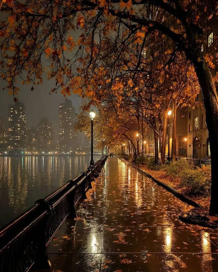 Cover image for "The rainy afternoon"