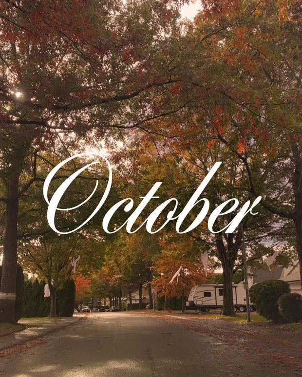 Cover image for "Dear October"